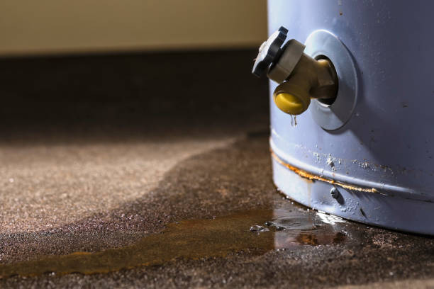 Best Water damage restoration insurance claims  in Mount Vernon, AL