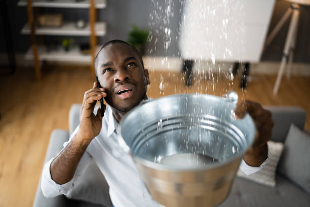 Best Commercial water damage restoration  in Mount Vernon, AL