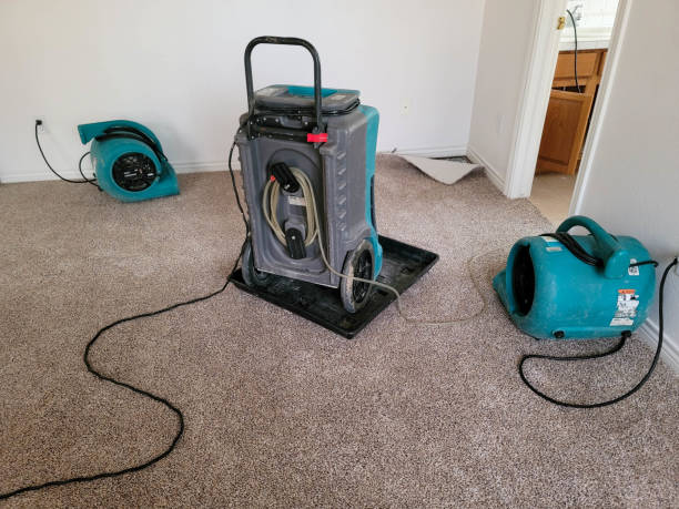 Best 24/7 water damage repair  in Mount Vernon, AL