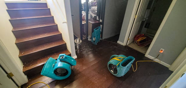 Best Sewage cleanup and water damage restoration  in Mount Vernon, AL