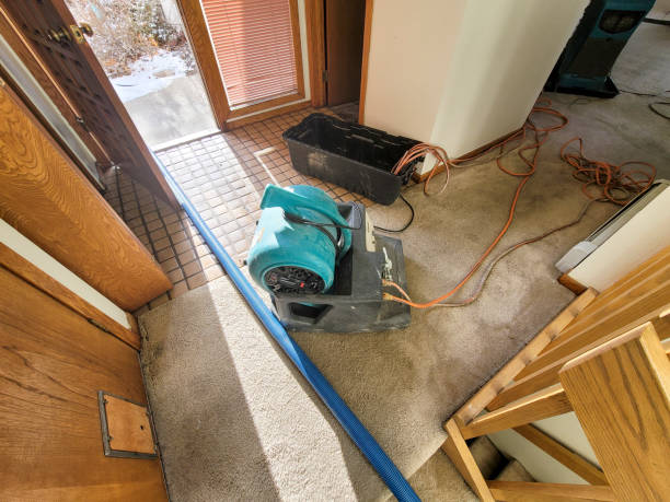 Best Residential water damage restoration  in Mount Vernon, AL