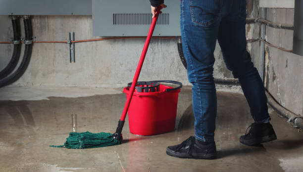 Best Flood restoration services  in Mount Vernon, AL