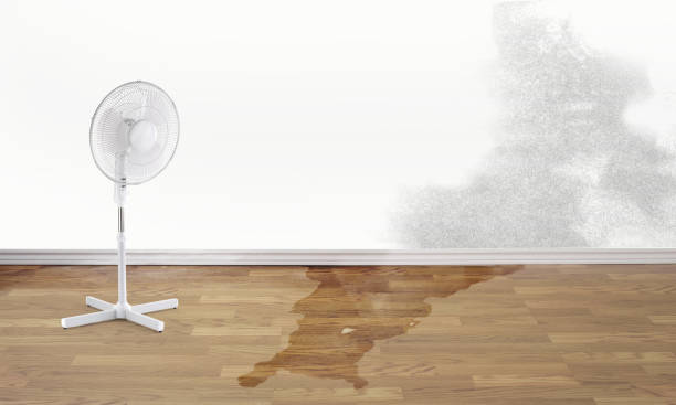 Water damage restoration insurance claims in AL