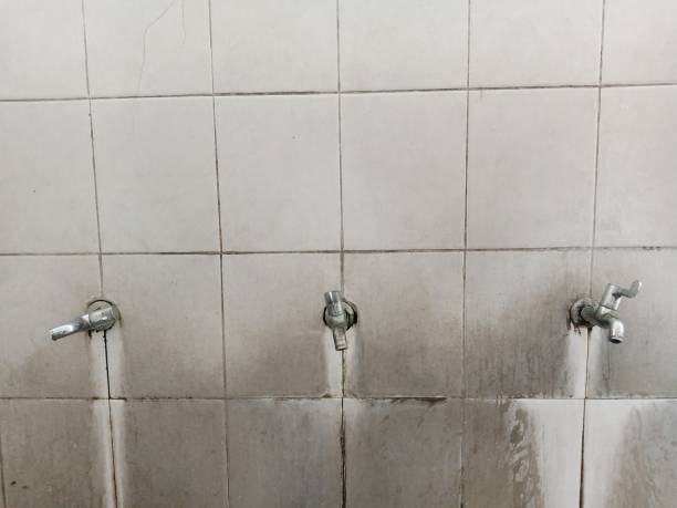 Best Water damage cleanup near me  in Mount Vernon, AL