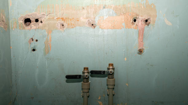 Best Local water damage restoration  in Mount Vernon, AL