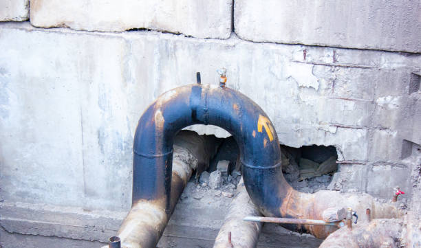 Best Ceiling water damage repair  in Mount Vernon, AL