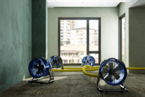 Best 24-hour water damage restoration  in Mount Vernon, AL